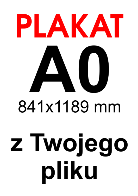 plakat a0 z pliku kilenta.png