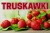 truskawki 1.jpg