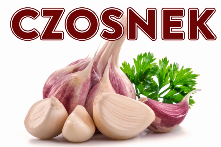 BANER CZOSNEK.jpg