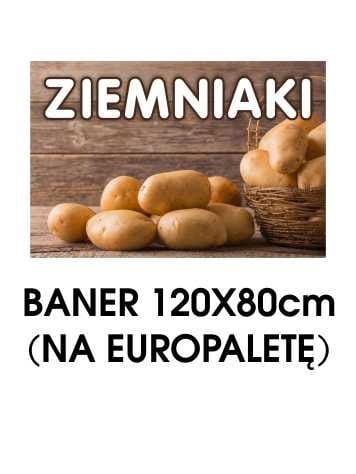 BANER ZIEMNIAKI IKO.jpg