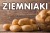 BANER ZIEMNIAKI podgląd.jpg