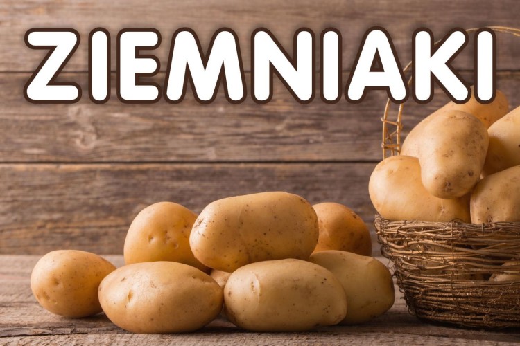 BANER ZIEMNIAKI podgląd.jpg