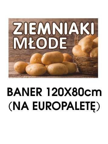 BANER ZIEMNIAKI MLOD.jpg