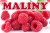 Baner MAILNY kopia.jpg