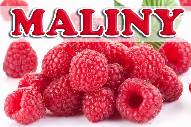 Baner MAILNY kopia.jpg