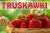 BANER TRUSKAWKI 2.jpg