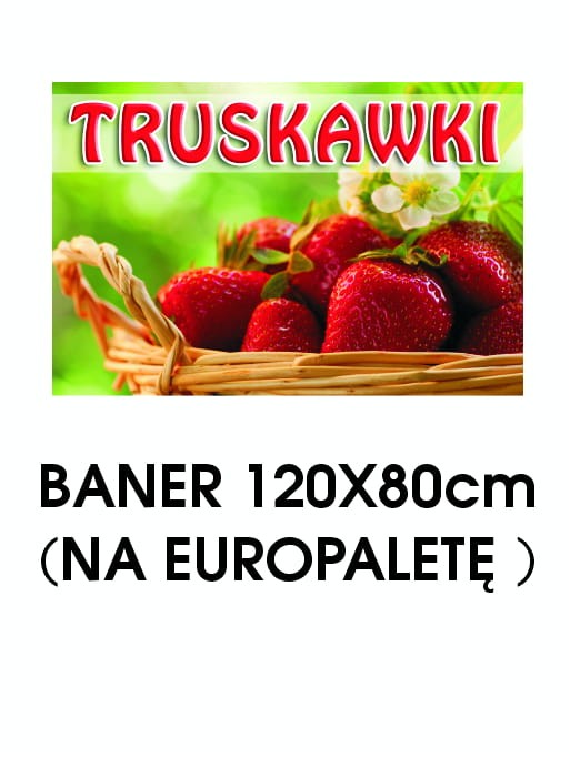 BANER TRUSKAWKI 2.jpg