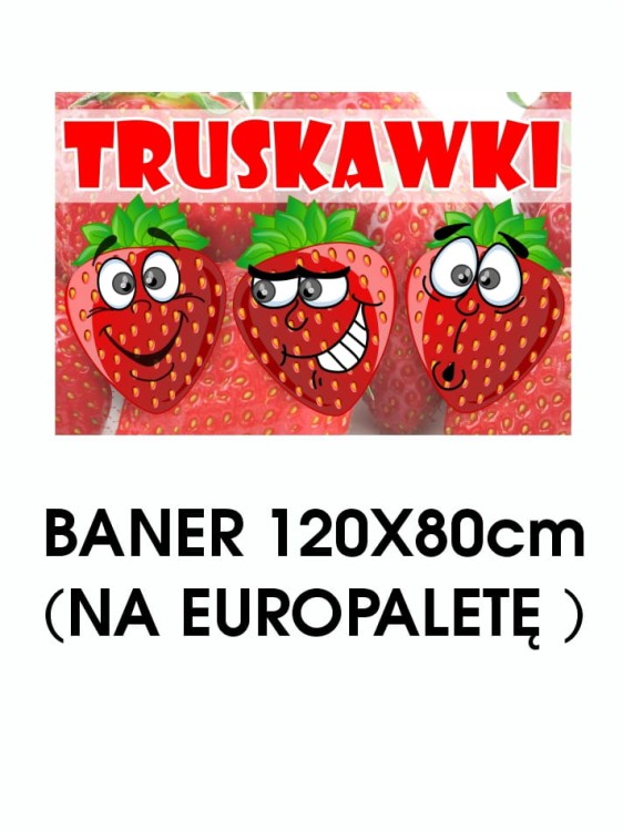 BANER TRUSKAWKI 3 MINIATURKA.jpg
