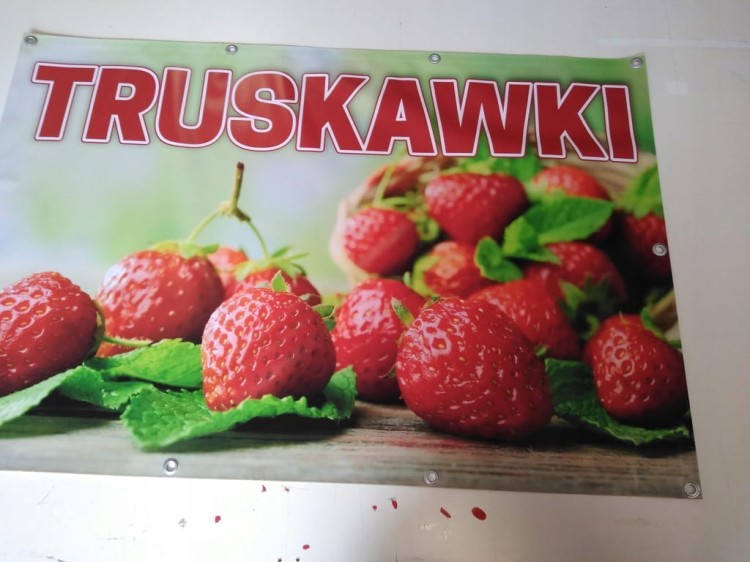 baner truskawki real foto.jpg