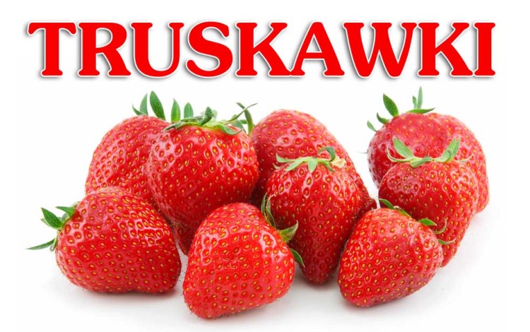 TRUSKAWKI 4_INT.jpg