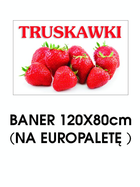 BANER TRUSKAWKI 4 MINIATURKA.jpg