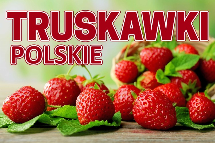BANER TRUSKAWKI polskie- mały napis.jpg